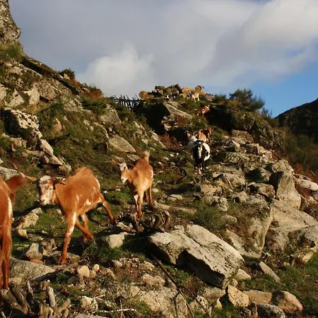 Casa De - Turismo Rural Gerês Casa de Férias *