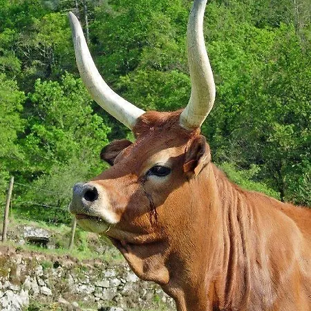 Casa De - Turismo Rural Geres Casa vacanze *