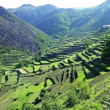 Casa De - Turismo Rural Gerês Casa de Férias *