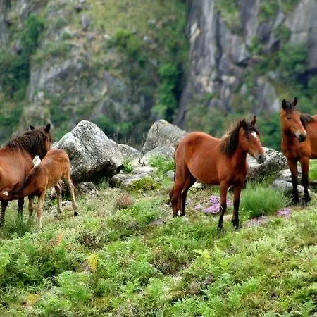 Casa De - Turismo Rural Gerês