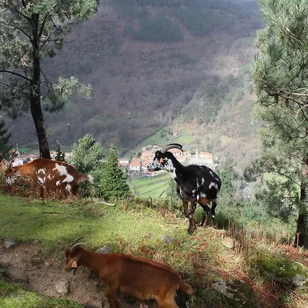 Casa De - Turismo Rural Geres