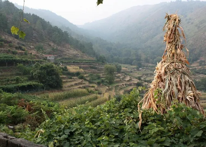 Casa De - Turismo Rural Gerês Сasa de vacaciones