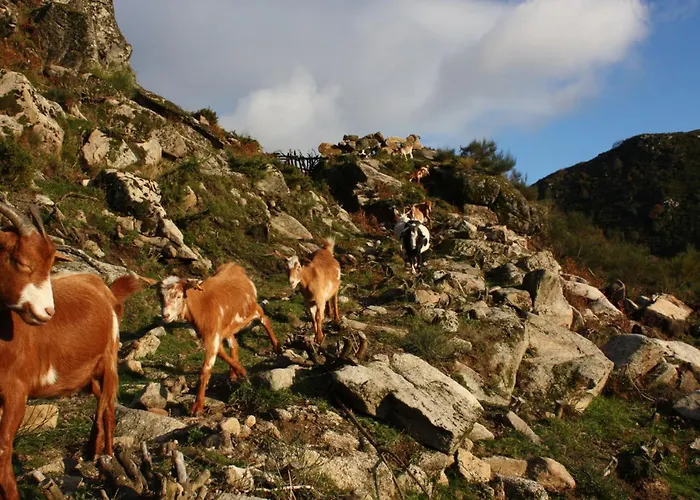 Casa De - Turismo Rural Gerês Сasa de vacaciones *