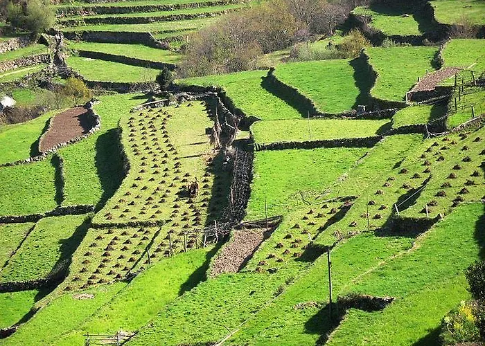 Casa De - Turismo Rural Gerês Сasa de vacaciones