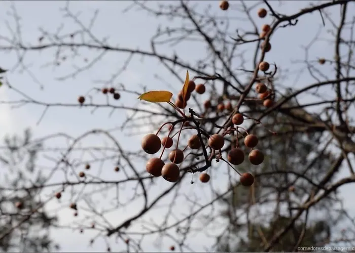 Casa De - Turismo Rural Gerês Сasa de vacaciones Sistelo