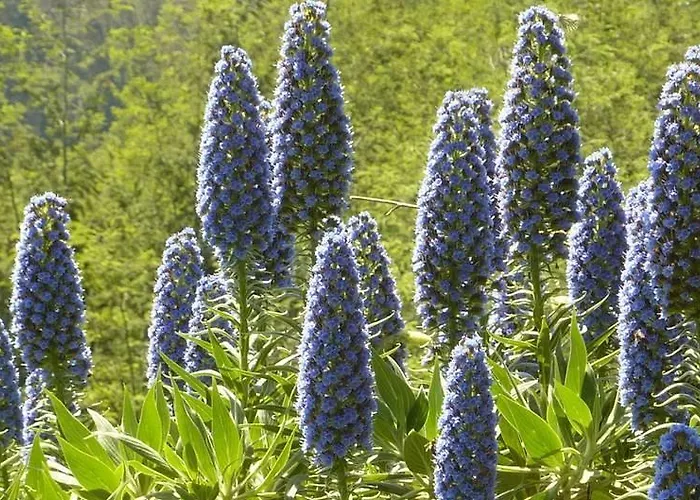Сasa de vacaciones Casa De - Turismo Rural Gerês