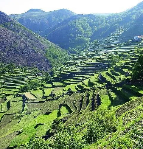Casa De - Turismo Rural Gerês Сasa de vacaciones *