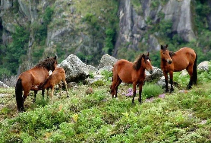 Casa De - Turismo Rural Gerês