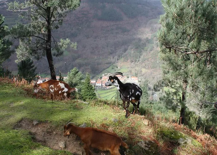 Casa De - Turismo Rural Gerês